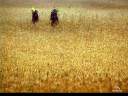 bucolic02.jpg