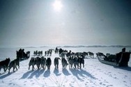 Inuit translation